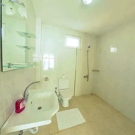 Orkide 2 Kaş